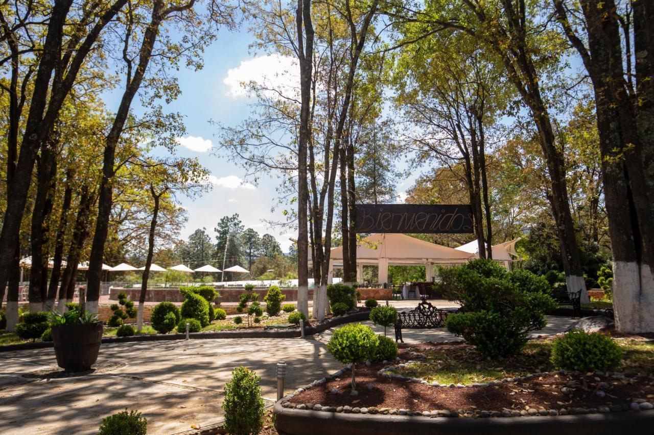 Hotel & Glamping Huasca Sierra Verde Huasca de Ocampo Buitenkant foto